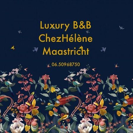 Chez Helene Luxury Appartment Maastricht Ngoại thất bức ảnh